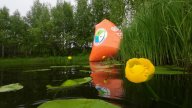 Соревнования по плаванию на открытой воде «Кувшинка» Соревнования по плаванию на открытой воде «Кувшинка»